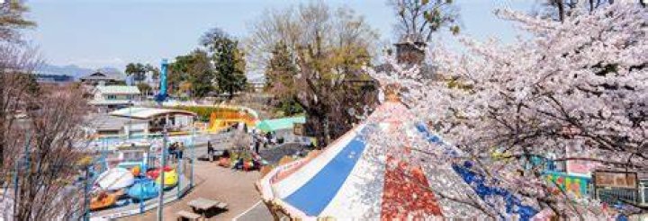 前橋市・亀泉町を歩く：暮らしの空気と“いま”が見える街の見どころ