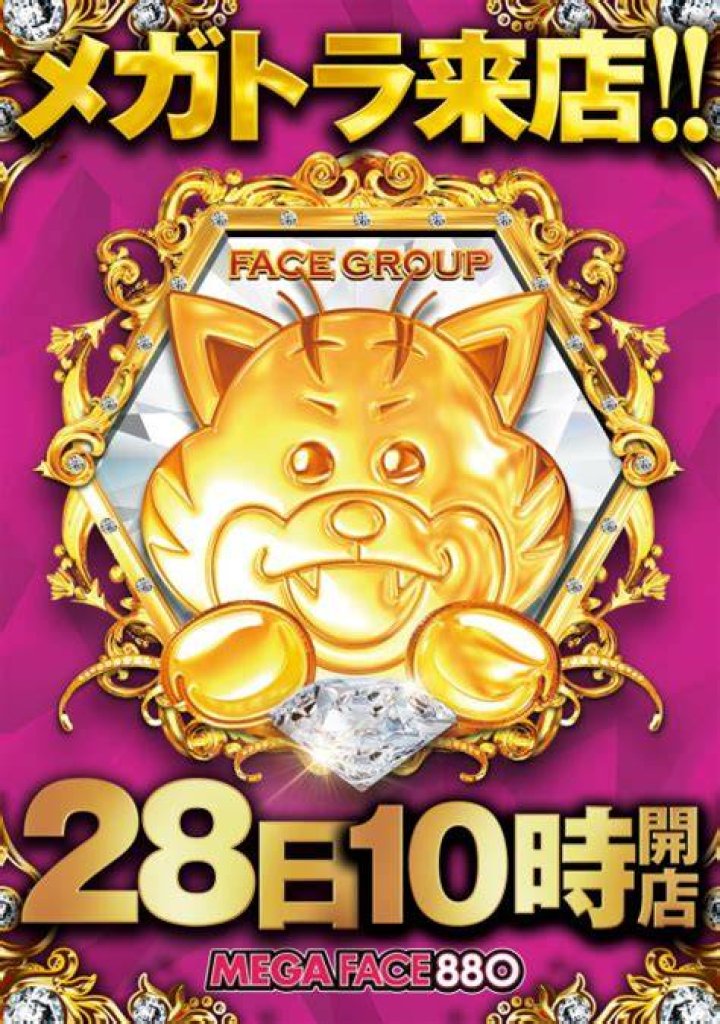 mega face 1500 宗像を検討する際の確認ポイント