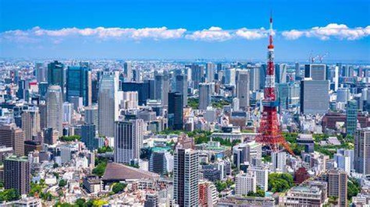 東京夕月雪華とは？言葉の背景と魅力を解くガイド